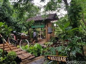 Healing Nggak Perlu Macet-macetan ke Puncak, ke Tangsel Saja