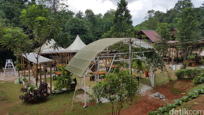 Kampung Konservasi Rimbun
