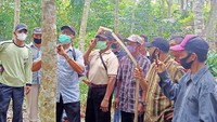 Kolaborasi antara Dinas Perkebunan dan MKC anak usaha perusahaan karet alam PT Royal Lestari Utama ini dilakukan secara berkala kepada petani karet di Kalimantan Timur sehingga petani mampu menghasilkan bokar yang bersih, memiliki kualitas yang lebih tinggi dan ramah lingkungan termasuk mengurangi bau yang tidak sedap dari Bokar.