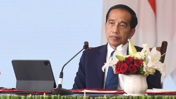 Presiden Jokowi (Foto: Lukas - Biro Pers Sekretariat Presiden)