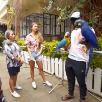 Jacqualine Wijaya memiliki area khusus di halaman yang didedikasikan untuk burung-burungnya. Setidaknya, ada 35 burung yang jika ditotal harganya mencapai Rp 1,3 miliar. (Foto: YouTube/Trans7 Official)