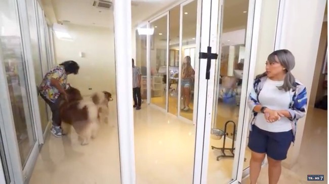 Sebagai pecinta binatang, Jacqualine juga memelihara anjing. Anjingnya pun bukan yang biasa, yakni alaskan malamute berharga Rp 50 juta.(Foto: YouTube/Trans7 Official)
