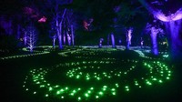 Sejak diperkenalkan sembilan tahun lalu, pertunjukan cahaya di Royal Botanic Garden hadir setiap akhir tahun, menghibur wisatawan yang sedang pelesiran di London.  