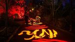 Sambut Natal, Jutaan Cahaya Berpendar di Royal Botanic Garden