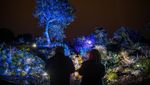 Sambut Natal, Jutaan Cahaya Berpendar di Royal Botanic Garden