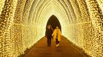 Sambut Natal, Jutaan Cahaya Berpendar di Royal Botanic Garden