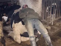 18 Foto Lucu Orang yang Ketiduran, Kalian Pernah Mengalaminya?