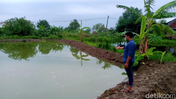 2 anak di lamongan tewas tenggelam di tambak
