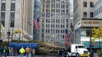 Truk kontainer membawa pohon cemara melintasi jalanan sempit kota New York (13/11/2021). Pohon setinggi 24 meter ini akan menjadi bagian dari perayaan Natal di halaman Rockefeller Center Building, (13/11/2021). (Diane Bondareff/AP Images for Tishman Speyer)