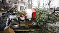 Warga di Pittsfield, Massachusetts (26/11/2021) membungkus pohon cemara sebelum diantar di bawah hujan salju.  (Stephanie Zollshan/The Berkshire Eagle via AP)