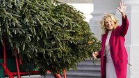 Ibu Negara Jill Biden melambaikan tangan kepada kamera saat melihat pohon cemara yang akan dijadikan pohon natal di lingkungan Gedung Putih, Washington, AS (22/11/2021). (AP Photo/Susan Walsh)