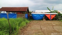 Setelah lokalisasi itu ditutup, lahan yang merupakan tanah bengkok desa itu akhirnya dimanfaatkan sebagai sentra ternak.