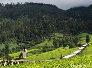 10 Objek Wisata Pangalengan, Cocok Untuk Healing