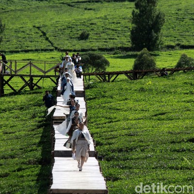 Fashion Show di Tengah Perkebunan Teh Pangalengan Bila fashion show identik dengan peragaan busana di dalam ruangan atau di tengah perkotaan. Berbeda dengan apa yang dilakukan oleh sejumlah anak muda asal Kabupaten Bandung ini. Mereka melakukan peragaan busana di tengah-tengah perkebunan teh yang berada di tempat wisata Pesona Padaawas, Pangalengan.