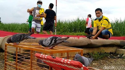 Vaksinator Covid-19 Sisir Warga Hingga ke Lokasi Lomba Burung Merpati