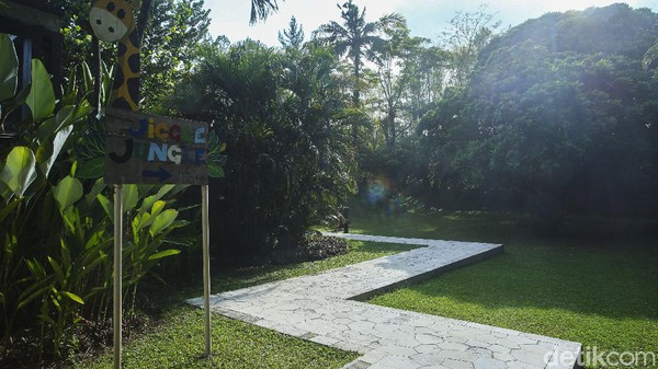 Dengan luas 5,4 hektare, hotel ini dikelilingi oleh taman tropis.