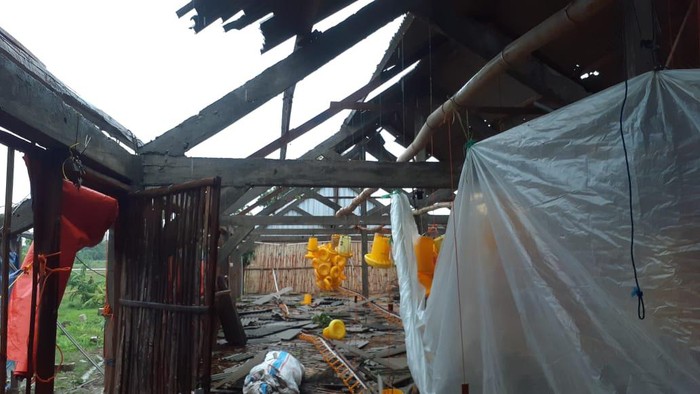 puluhan rumah dan kandang ayam rusak