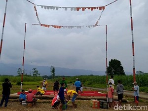 Didatangi Polisi, Lomba Kolong Merpati Pekalongan Ini Ternyata...