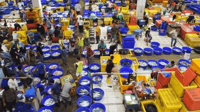 Hiruk Pikuk Pasar Ikan Muara Baru, Tempat Asik Nikmati Seafood