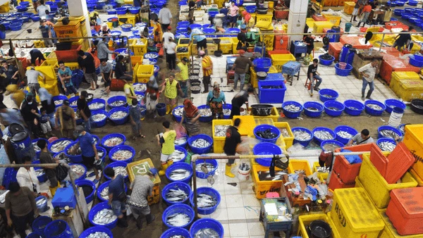 Hiruk Pikuk Pasar Ikan Muara Baru, Tempat Asik Nikmati Seafood