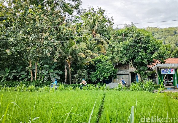 Ada 2 rute yang bisa ditempuh untuk mencoba jalur beraspal ini. Rute pertama dimulai dari Jembatan Talang Bowong, Banjararum, Kalibawang ke selatan menuju Jembatan Singkung di Pendoworejo, Girimulyo. Ada 2 rute yang bisa ditempuh untuk mencoba jalur beraspal ini. Rute pertama dimulai dari Jembatan Talang Bowong, Banjararum, Kalibawang ke selatan menuju Jembatan Singkung di Pendoworejo, Girimulyo.