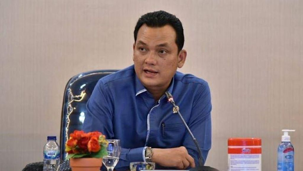 Heboh Snack Gambar Kaesang di Garuda, Pimpinan Komisi VI DPR Buka Suara