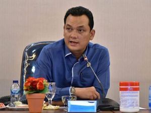 Heboh Snack Gambar Kaesang di Garuda, Pimpinan Komisi VI DPR Buka Suara