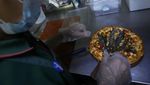 Resto di Thailand Sajikan Pizza Topping Ganja