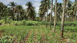 Serunya Bersepeda di Tepi Sungai Cisadane
