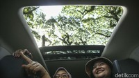 Hutan De Djawatan merupakan destinasi populer di Banyuwangi. Namun di balik pesonanya itu, asal-usul hutan trembesi ini masih menjadi teka-teki.