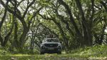 Wuling Almaz Menembus Hutan De Djawatan