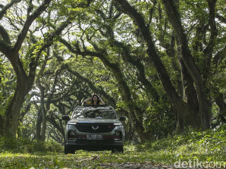 Wuling Almaz Menembus Hutan De Djawatan
