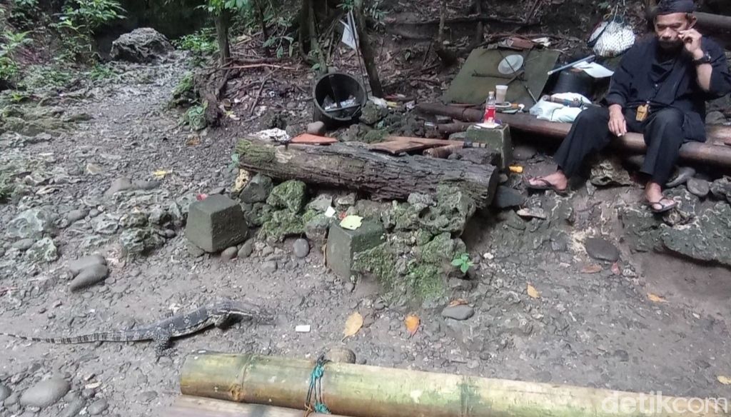 Biawak di sekitar gua Cirengganis Cagar alam Pangandaran menambah daya tarik.
