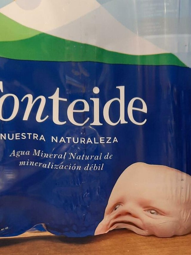 Muka bayinya benar-benar bikin bingung dan bikin takut. Kalau seperti ini jadi seram kan melihatnya? Foto: Reddit