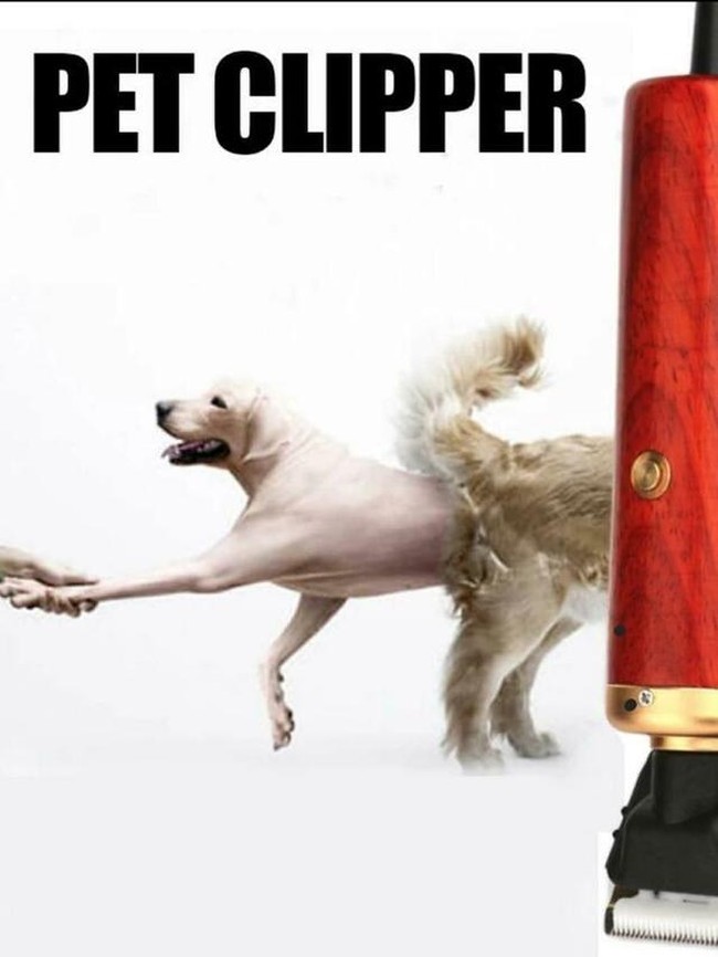 Alat cukur hewan yang iklannya justru bikin hewannya jadi terlihat seperti dikuliti hidup-hidup. Benar-benar bikin bingung dan mikir berulang kali. Foto: Reddit