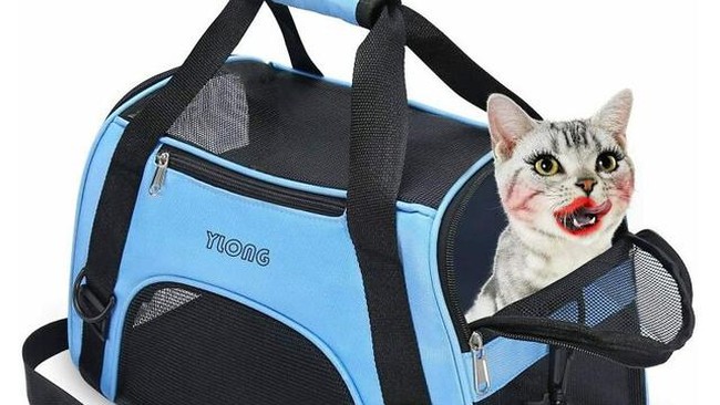 Ketika kucing menggunakan makeup dan lipstik merah. Entah apa tujuannya membuat desain iklan seperti ini, bikin gagal paham. Foto: Reddit