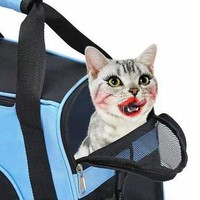 Ketika kucing menggunakan makeup dan lipstik merah. Entah apa tujuannya membuat desain iklan seperti ini, bikin gagal paham. Foto: Reddit