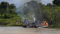 Ratusan kapal tongkang milik penambang ilegal berkumpul di sungai sejak  demam emas di Amazon Brasil, beberapa waktu laliu.  Otoritas Institut Lingkungan dan Sumber Daya Alam Terbarukan Brasil (IBAMA) gerah akan aktivitas ilegal tersebut dan membakarnya, Minggu (28/11).
