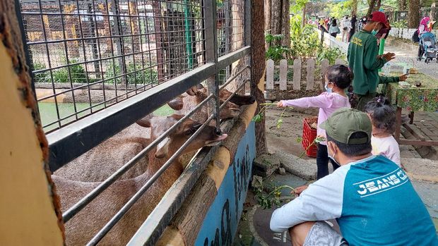 Kebun Binatang Surabaya