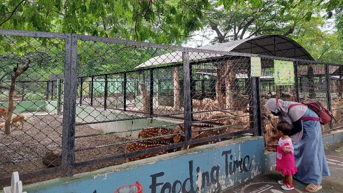 Kebun Binatang Surabaya