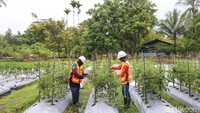 Tambang selalu identik dengan kerusakan dan pencemaran lingkungan. Namun belakangan, industri pertambangan kian sadar pentingnya green mining atau tambang yang tetap menjaga keberlanjutan ekosistem. Sehingga sedapat mungkin, limbah-limbah hasil tersebut kini mulai didaur ulang menjadi material yang bermanfaat.