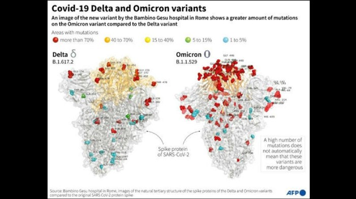 Ngeri! Begini Penampakan Mutasi Varian Omicron Vs Delta Sebuah studi yang dilakukan tim peneliti di Italia menggambarkan seberapa banyak mutasi varian Omicron, jika dibandingkan dengan varian Delta.