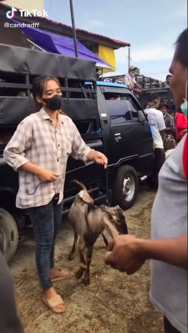 Kisah Wanita 21 Tahun yang Sukses Jualan Kambing
