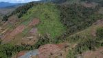 Duh, Perambahan Hutan di Kaki Gunung Kerinci Terus Meluas