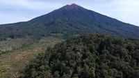 Penebangan kayu dan pembukaan lahan ilegal dalam kawasan lindung taman nasional masih terus terjadi dan bertambah meluas dalam beberapa tahun terakhir.
