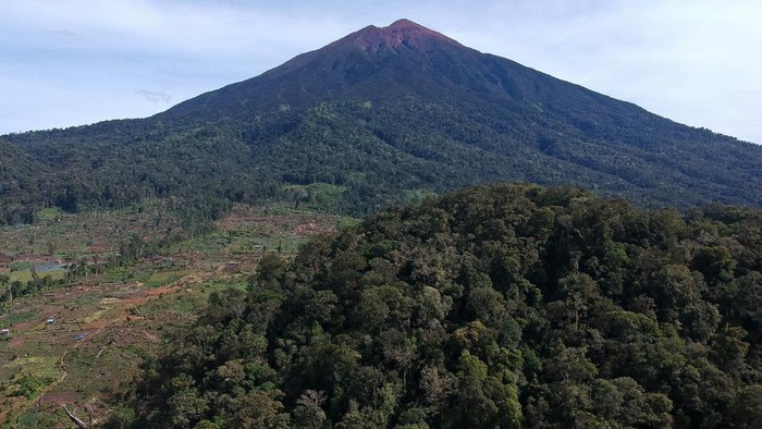 Foto udara kawasan ladang ilegal di dalam kawasan Taman Nasional Kerinci Seblat (TNKS), kaki Gunung Kerinci, Jambi, Senin (29/11/2021). Penebangan kayu dan pembukaan lahan ilegal dalam kawasan lindung taman nasional setempat masih terus terjadi dan bertambah parah dalam beberapa tahun terakhir. ANTARA FOTO/Wahdi Septiawan/aww.