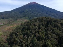 Orang Bunian Jambi, Makhluk Pendek Berkaki Terbalik Penghuni Gunung Kerinci