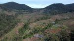 Duh, Perambahan Hutan di Kaki Gunung Kerinci Terus Meluas