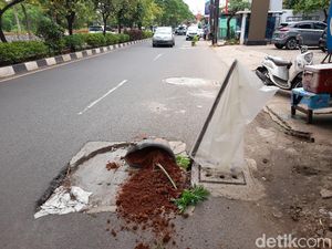 detikcom Do Your Magic: Drainase Vertikal Ini Diberi Pot di Tengah Jalan