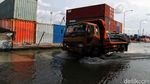 Potret Banjir Rob yang Terjadi Setiap Hari di Pelabuhan Sunda Kelapa